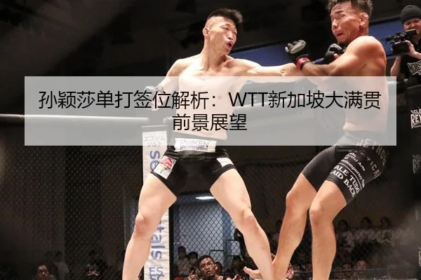 孙颖莎单打签位解析：WTT新加坡大满贯前景展望